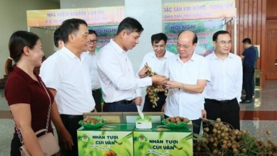 Over 50,000 tons of Hung Yen longans set for exports to global market